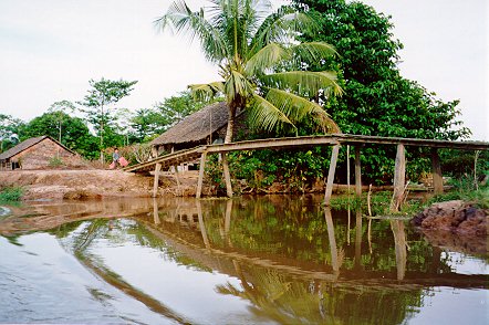 mekong9.jpg