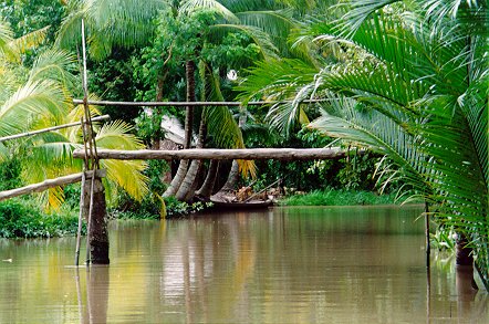 mekong_bridge2.jpg