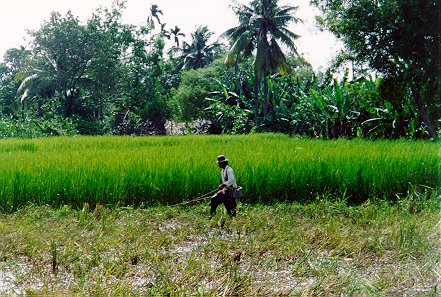 mekong_fishing.jpg